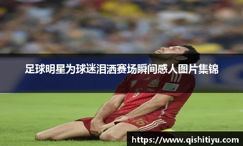 必一运动B·Sport