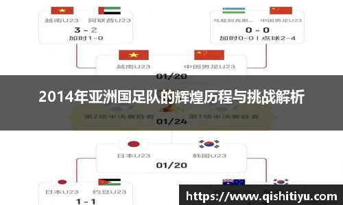 2014年亚洲国足队的辉煌历程与挑战解析